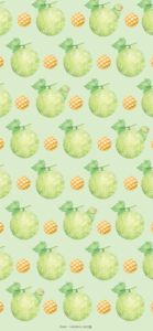 無料公開 ことりのスマホ待受画面 鳥のこと ゆとり屋