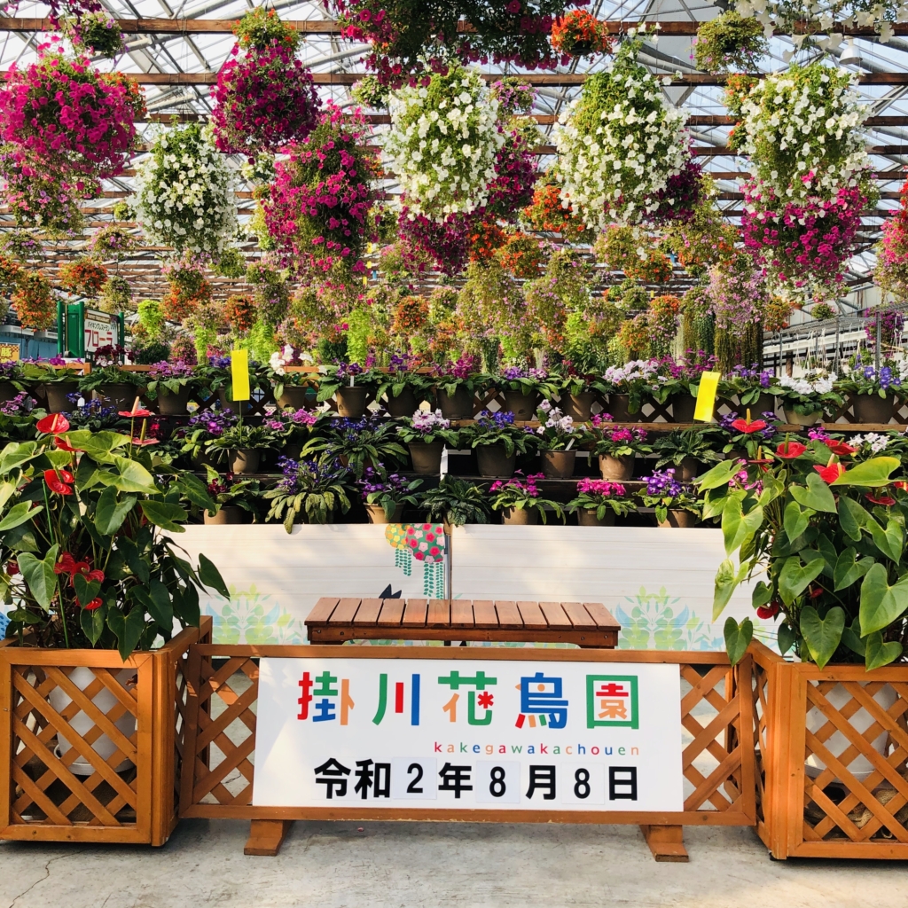 掛川花鳥園　映え　写真