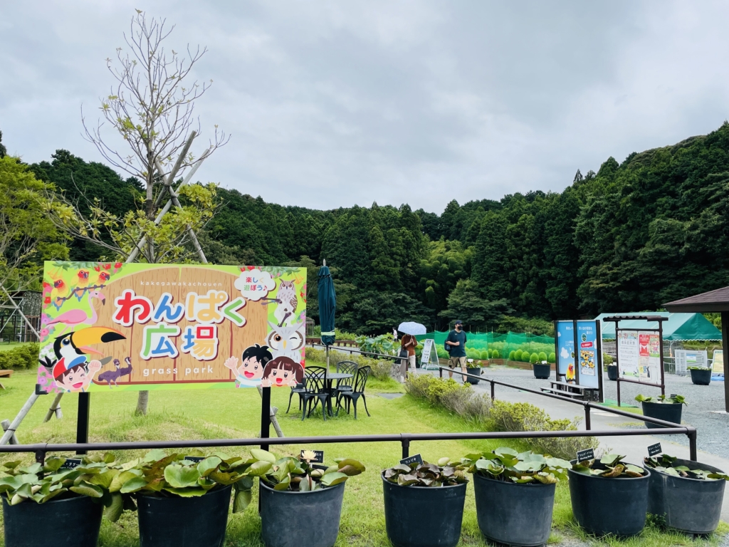 掛川花鳥園　