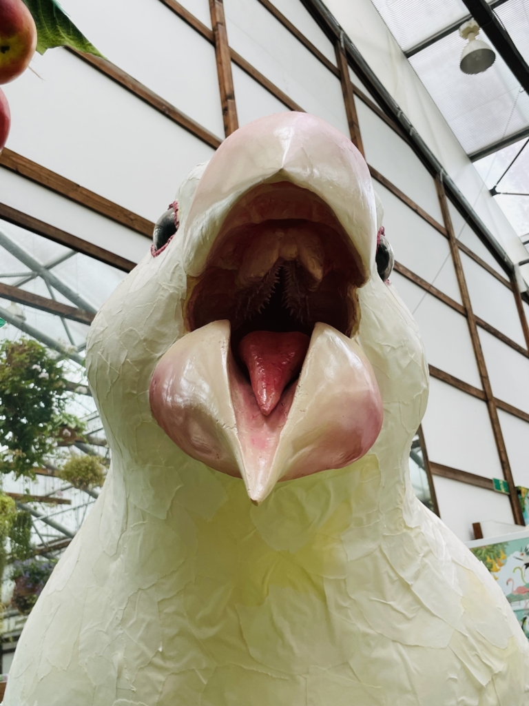 掛川花鳥園　