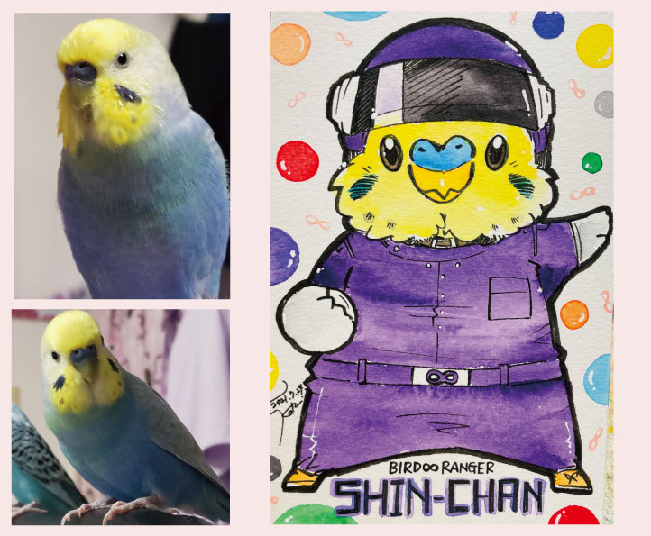 ゆとり屋　似顔絵　にがおえ　セキセイインコ