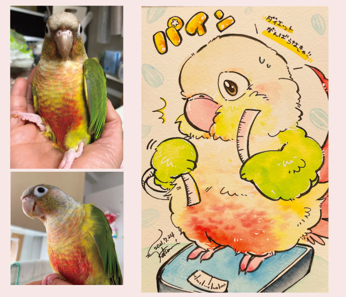 ゆとり屋　似顔絵　にがおえ　ウロコインコ